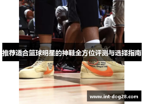 推荐适合篮球明星的神鞋全方位评测与选择指南