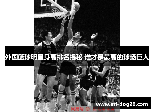 外国篮球明星身高排名揭秘 谁才是最高的球场巨人