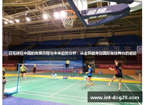 羽毛球在中国的发展历程与未来趋势分析：从全民健身到国际竞技舞台的崛起