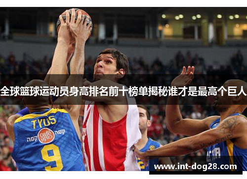 全球篮球运动员身高排名前十榜单揭秘谁才是最高个巨人