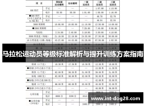 马拉松运动员等级标准解析与提升训练方案指南