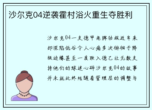 沙尔克04逆袭霍村浴火重生夺胜利