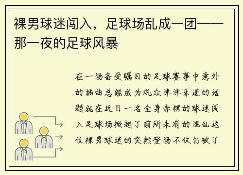 裸男球迷闯入，足球场乱成一团——那一夜的足球风暴